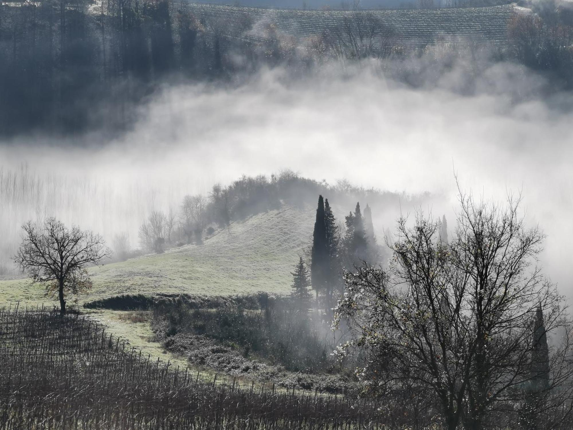 Agriturismo Bio Fattoria Bacio Certaldo Exteriör bild