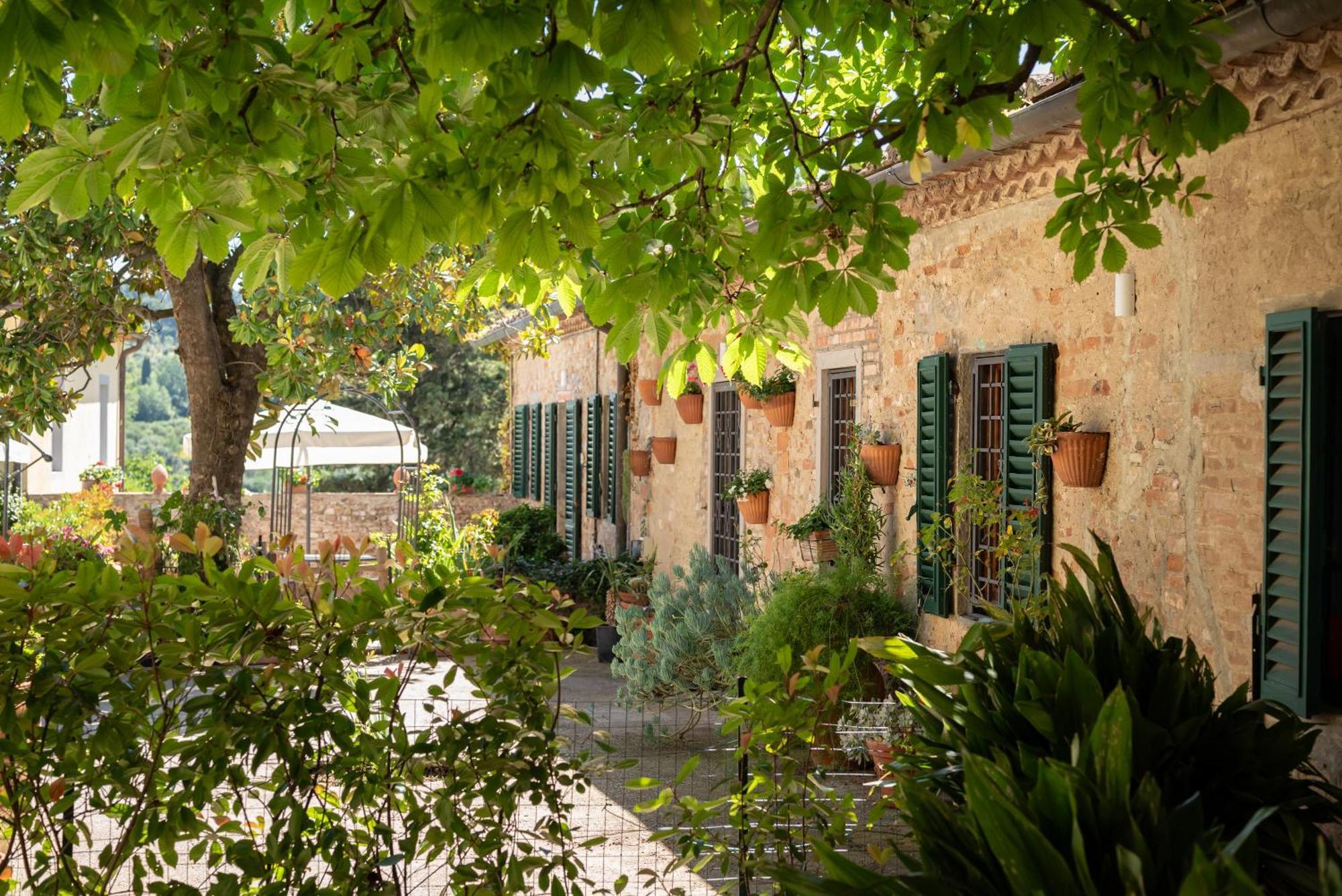 Agriturismo Bio Fattoria Bacio Certaldo Exteriör bild